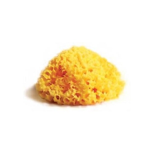UNICO SPUGNA DI MARE